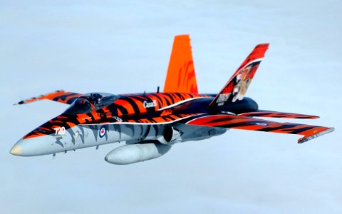 CF-18 Tiger Bird