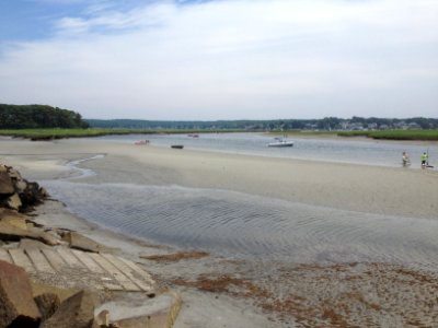 56 (Jones Salt Marsh)