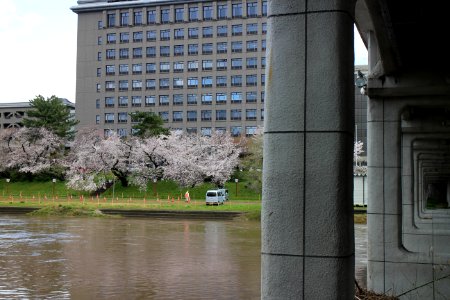 IMG 0425.jpg