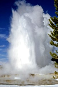 Giant Geyser erupting (1952) 2