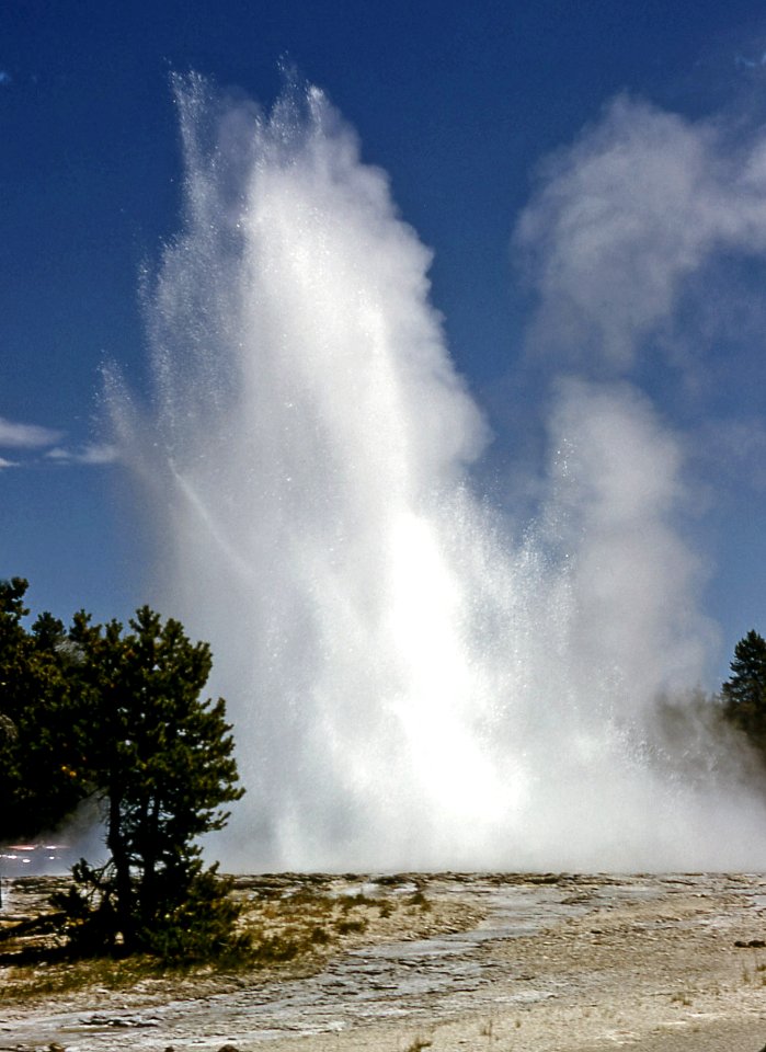 Great Fountain Geyser erupting (1959)