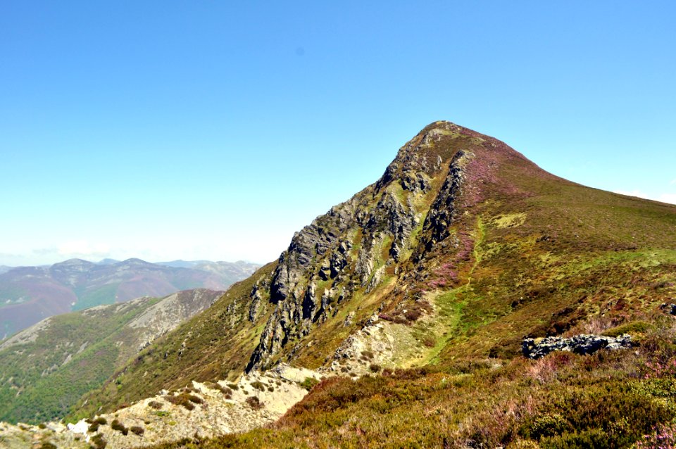 Teso Mular