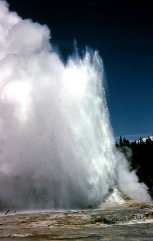 Giant Geyser erupting (August 1964)