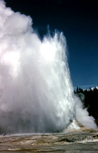Giant Geyser erupting (August 1964)