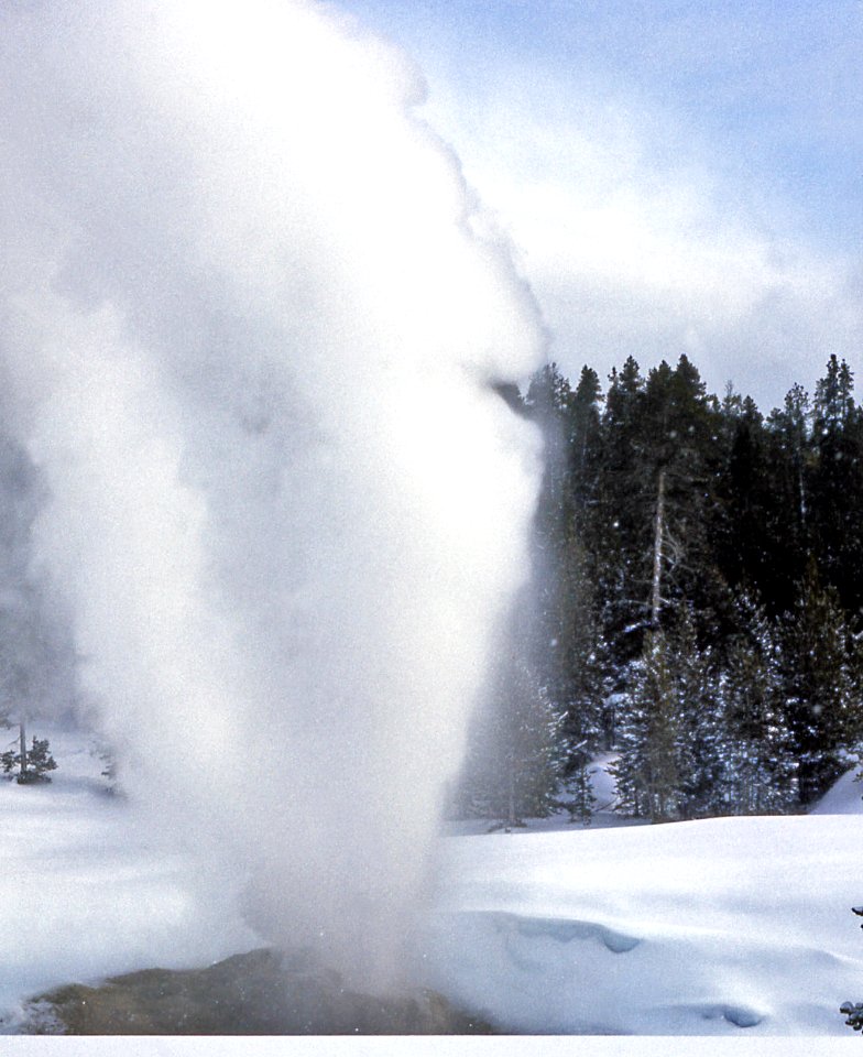 Riverside Geyser erupting (1969)