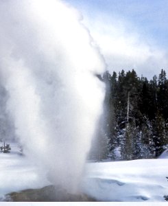 Riverside Geyser erupting (1969)