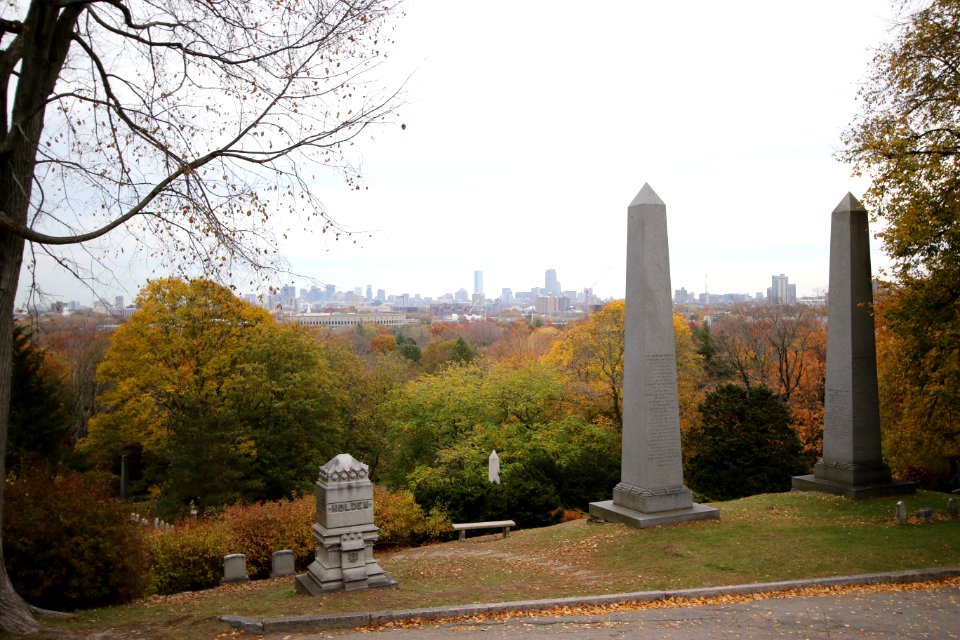 85 (Mt. Auburn Cemetery)