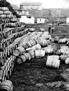 Early oil barrels 1 photo