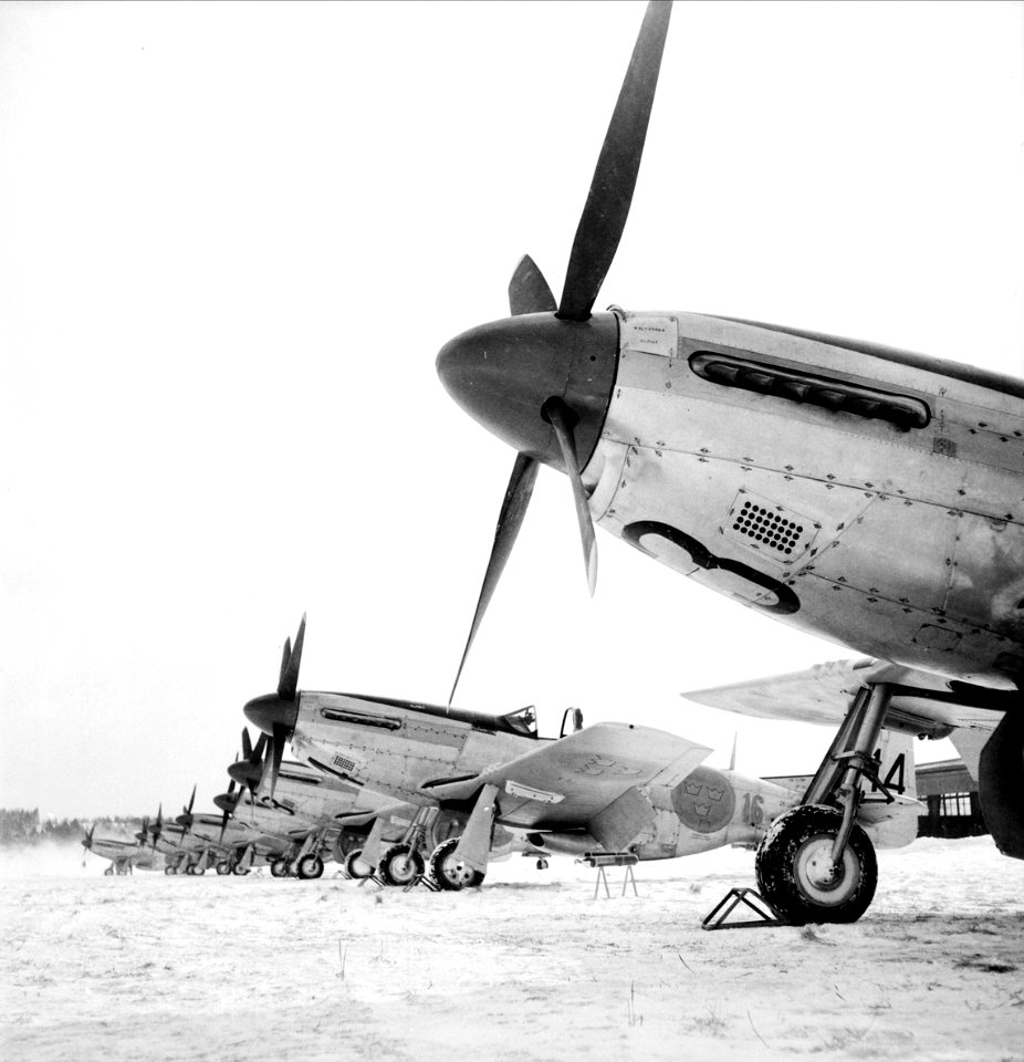 Swedish Air Force  -  Flygplan, mustanger, sannolikt F 16 Upplands Flygflottilj, Ärna, Uppsala maj 1952