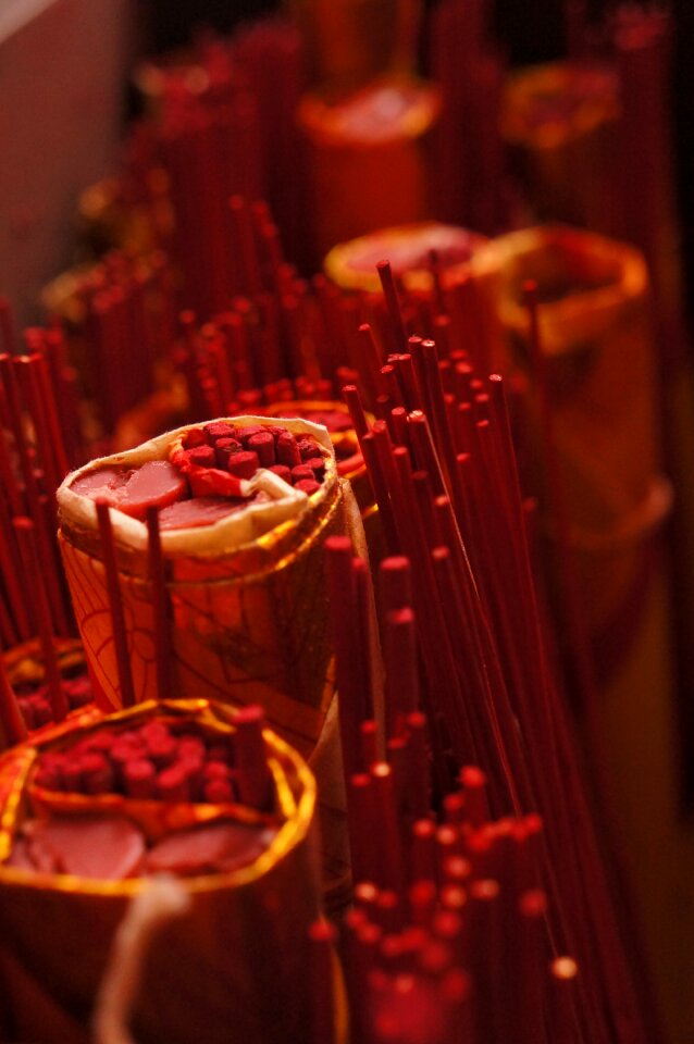 Education filaments tissue