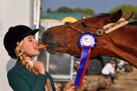 Carrot complicity equestrian