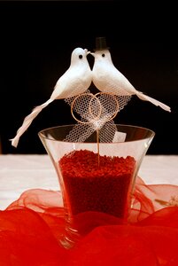 Red marriage romance