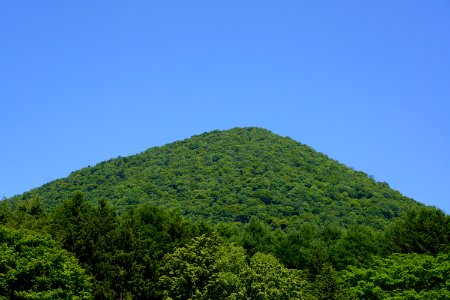 中島 / Nakajima Islands