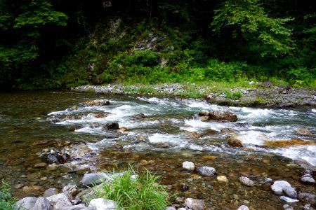 氷川キャンプ場