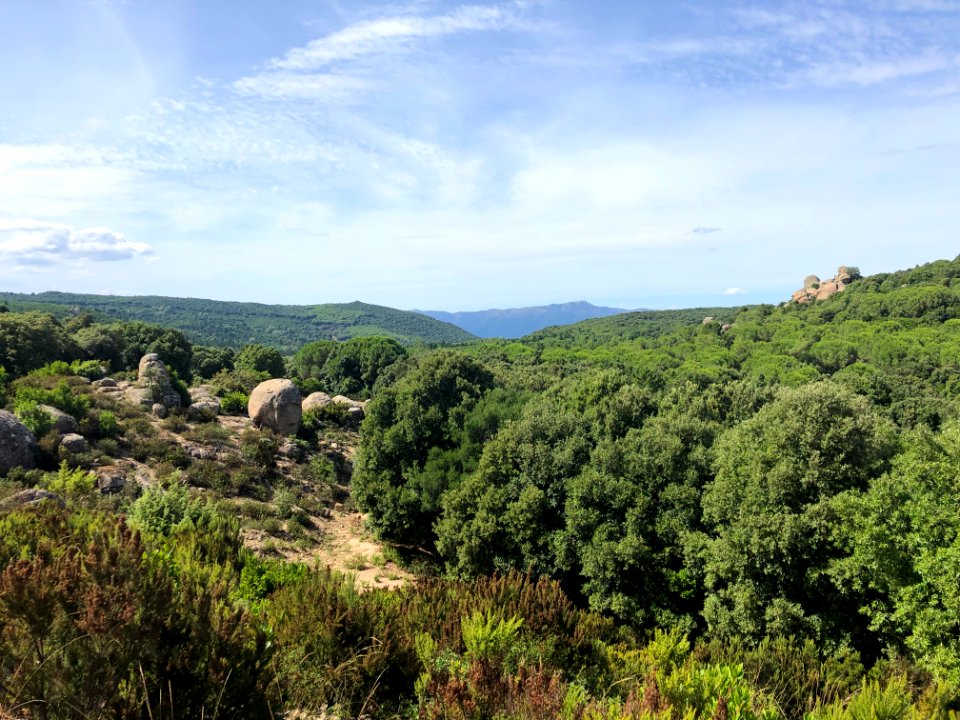 Foresta Demaniale Settefratelli - Sentieri 811