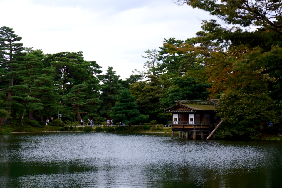 兼六園 / Kenrokuen Garden