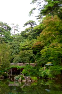 兼六園 / Kenrokuen Garden