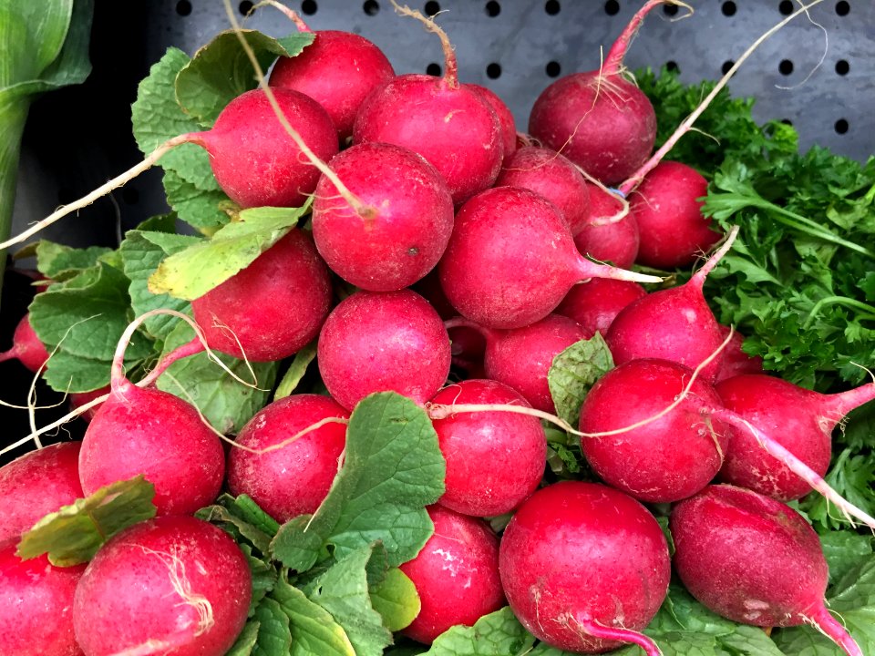Radishes