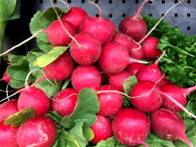 Radishes photo