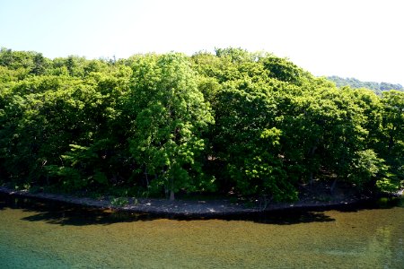 中島 / Nakajima Islands