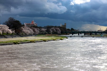 IMG 0418.jpg