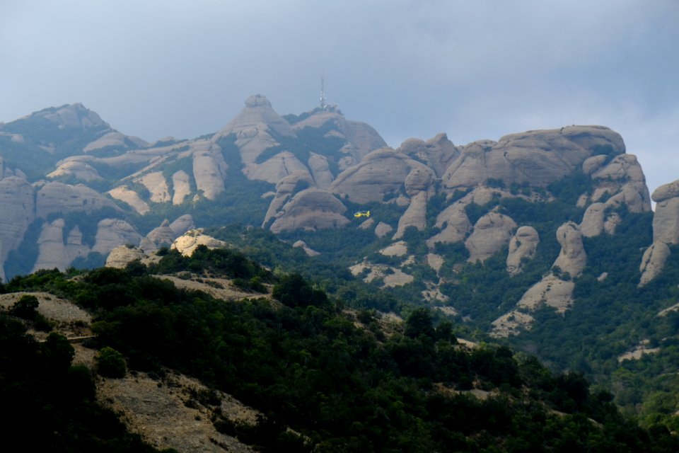 DSCF6756