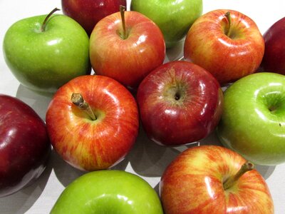 Rosh hashana jewish fruit