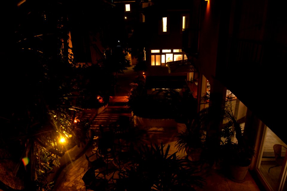  DSC3004