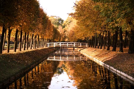 Wooden bridge nature water