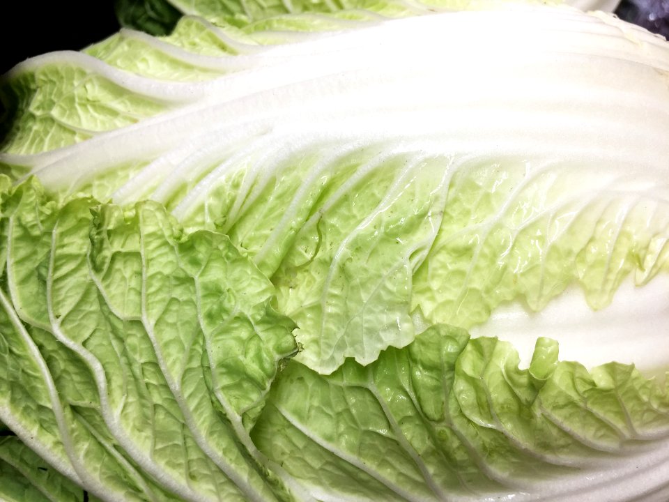 Romaine Lettuce