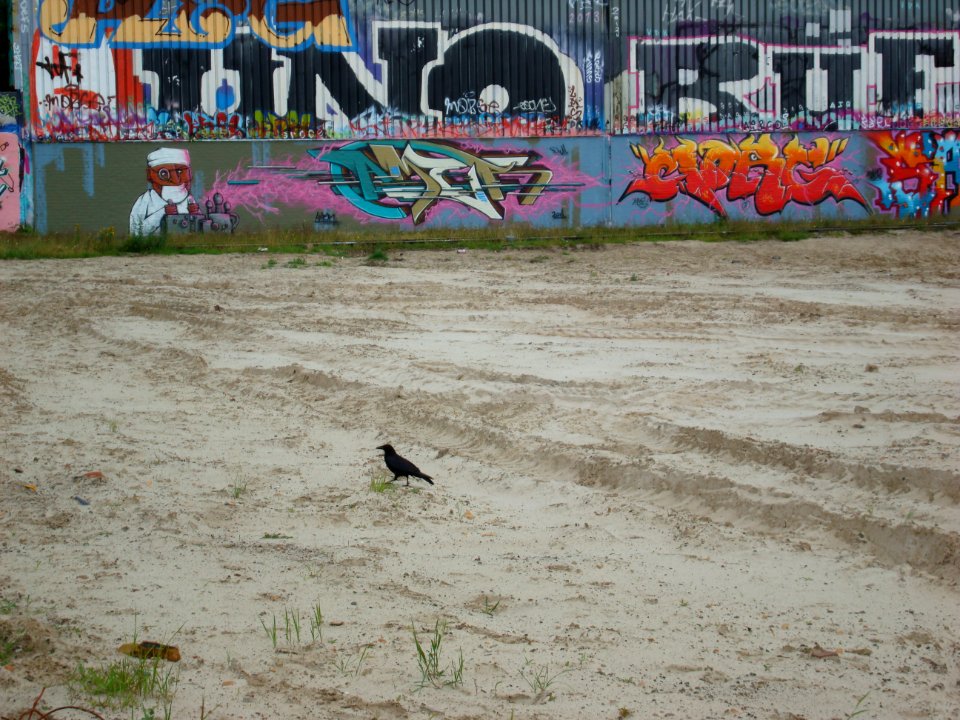The old friendly paint spot