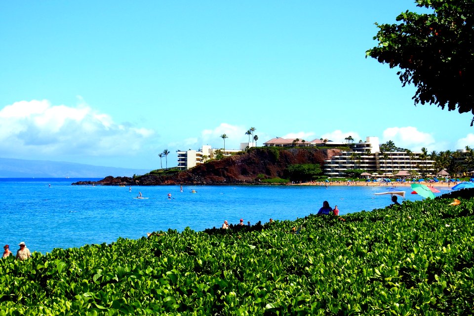 97 (Whaler's Village Lahaina)