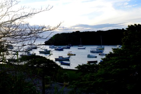  DSC2699