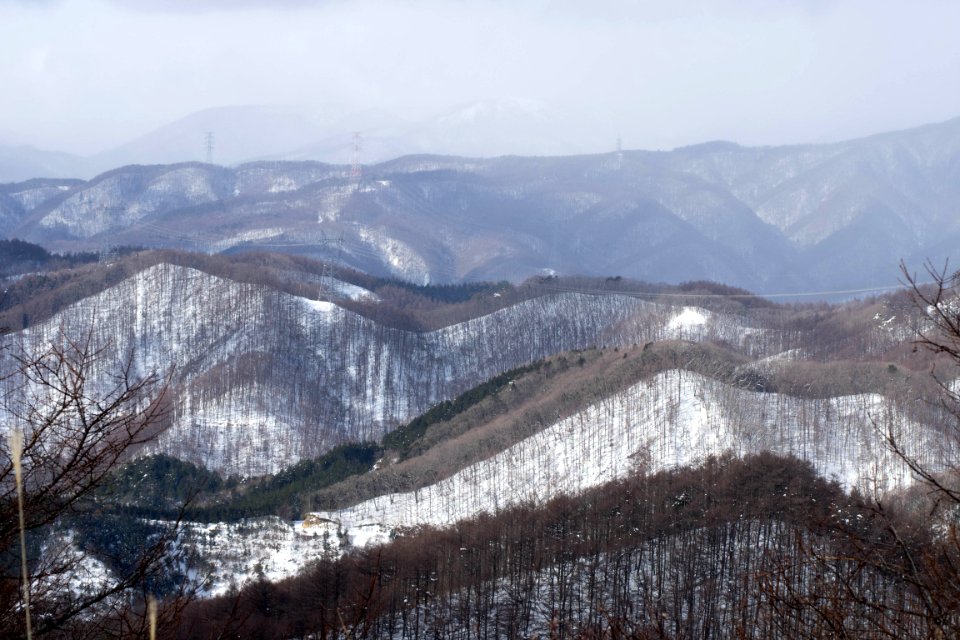 P1170019.jpg