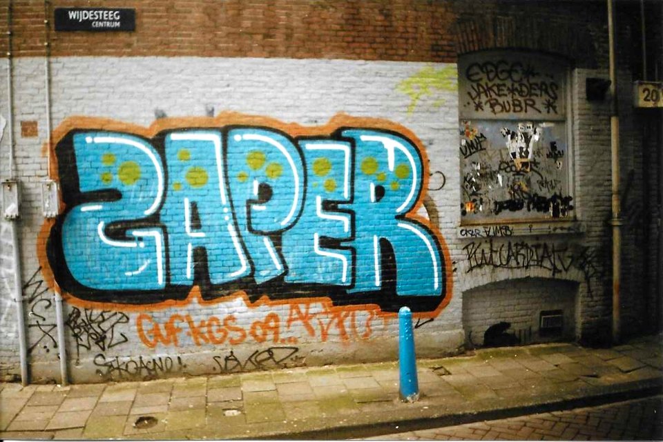 Saper 2011