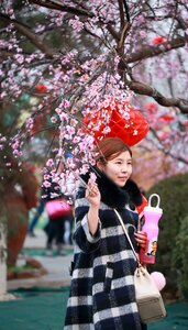 Festivity new year cool