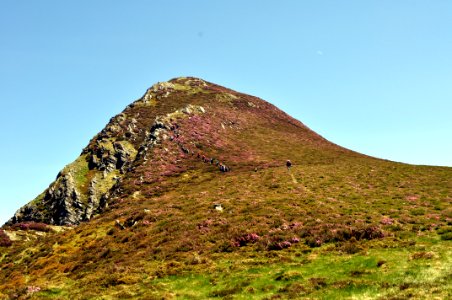 Teso Mular