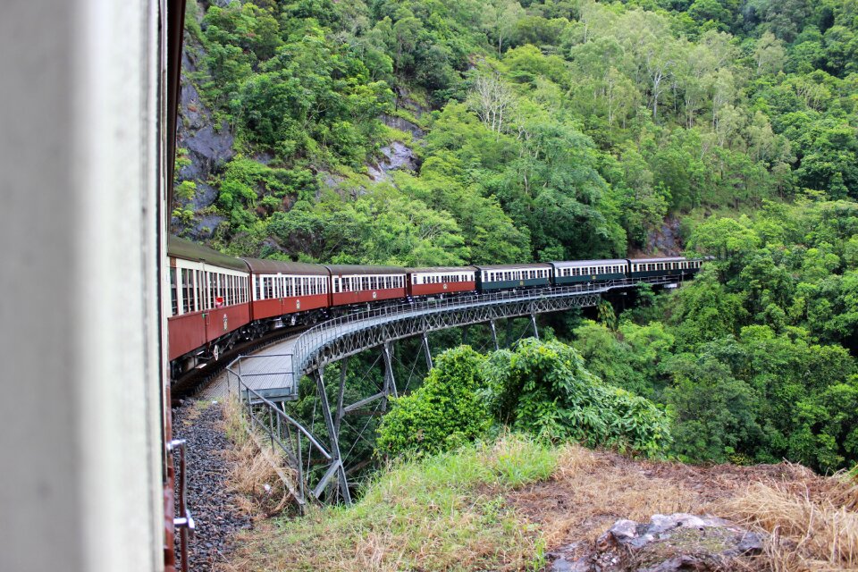 Jungle train mountain woods