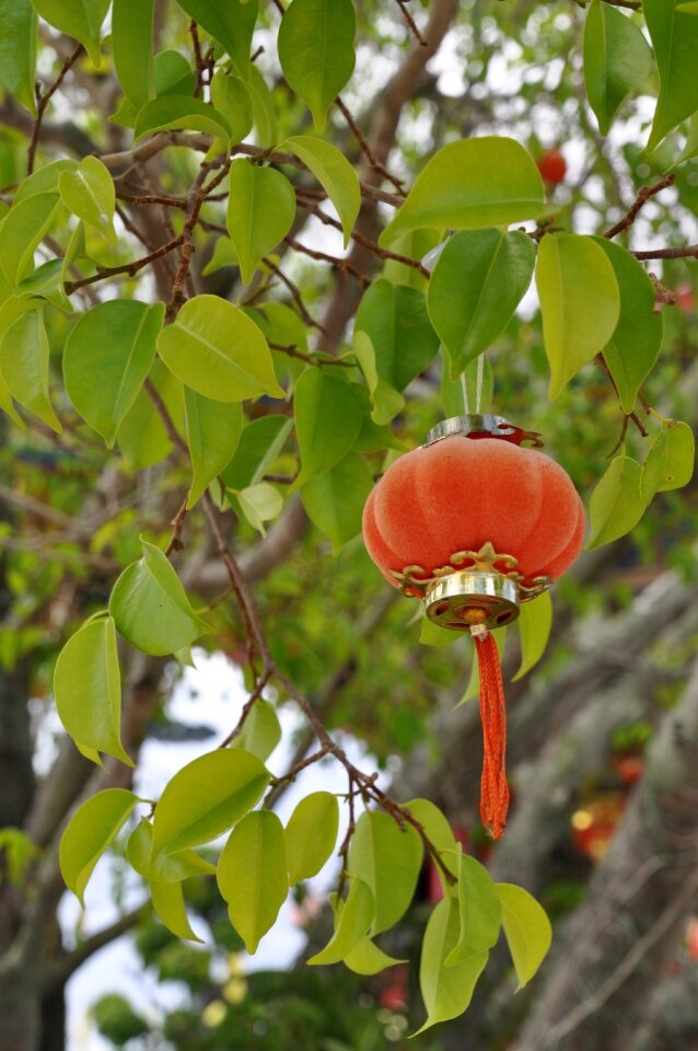 Decoration asian oriental photo