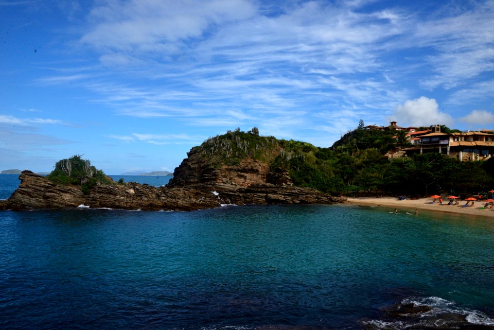  DSC2733