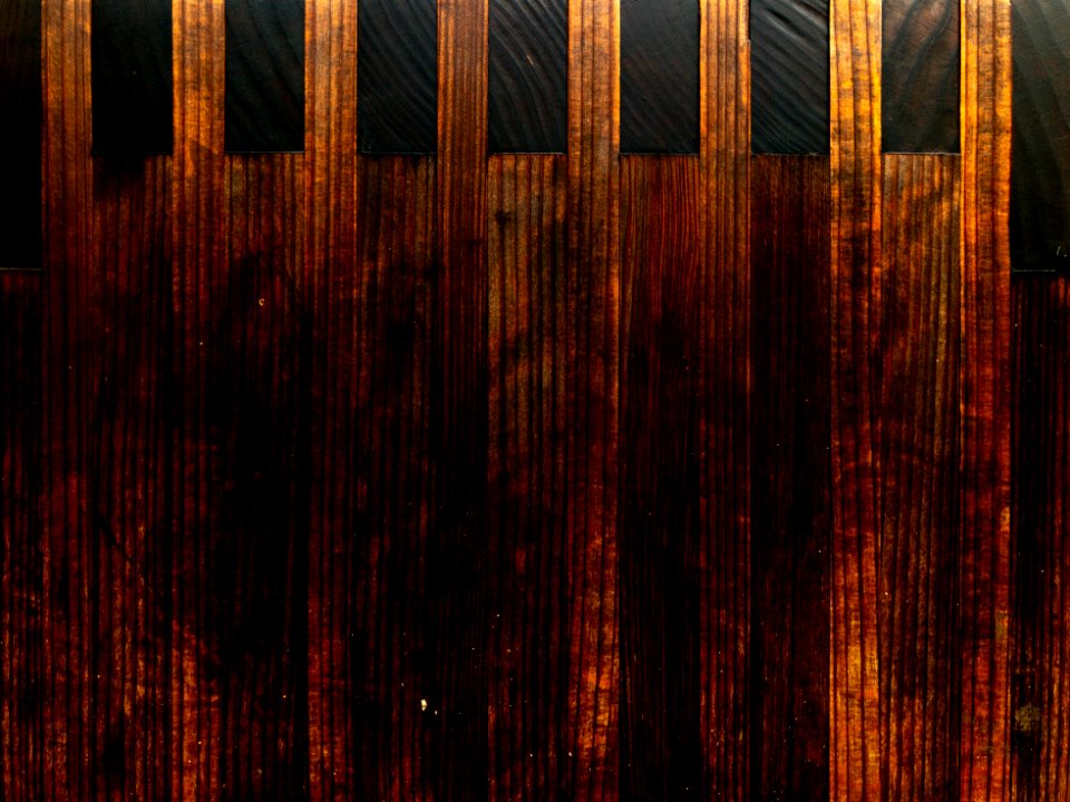 Wet wood