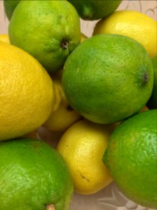 Lemons & Limes photo
