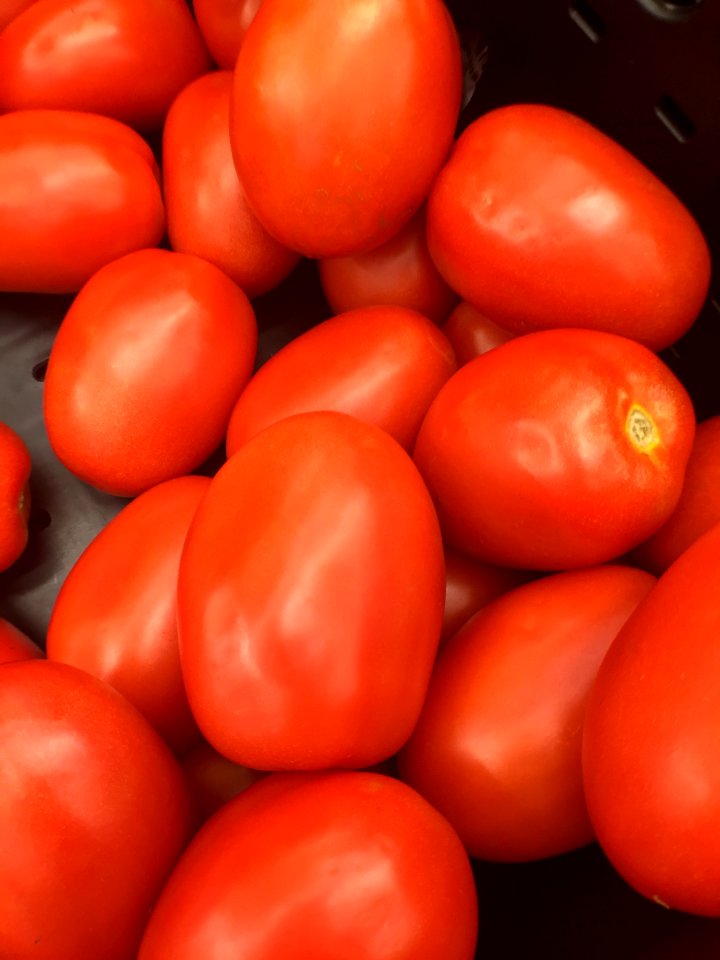Roma Tomatoes