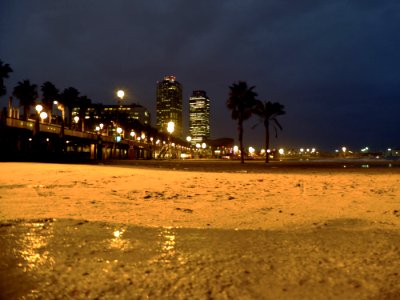 DSCF8754