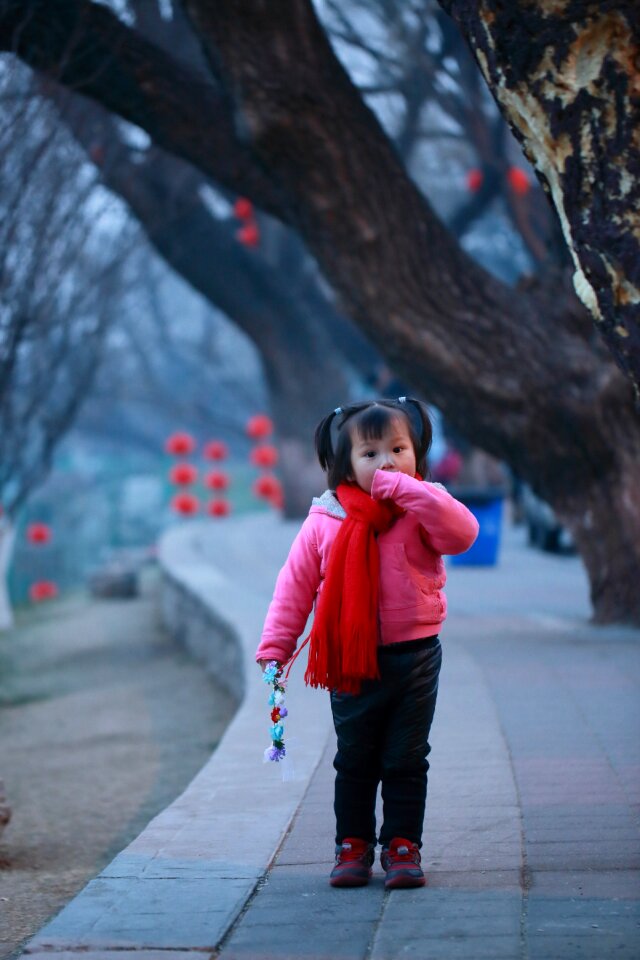 Festivity new year cool