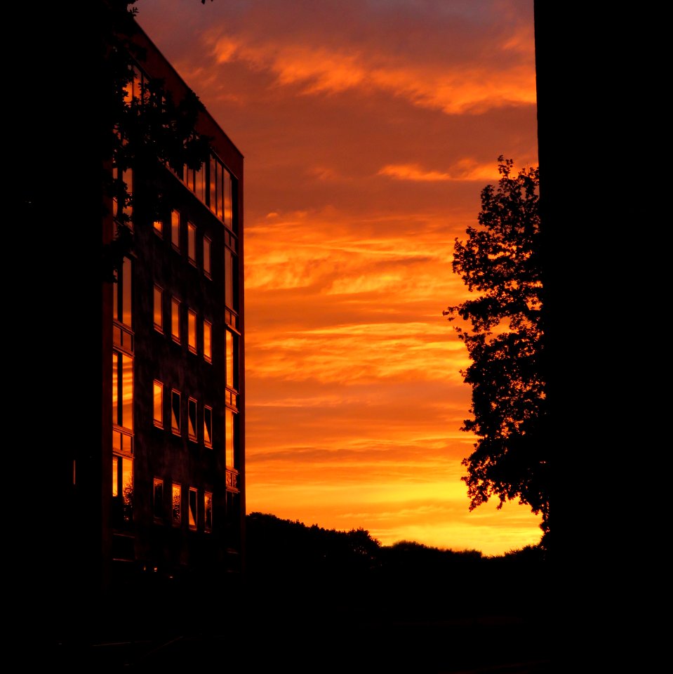 Sunset Kattenbroek