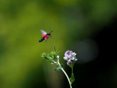 landing photo