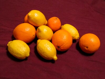 Citrus fresh food