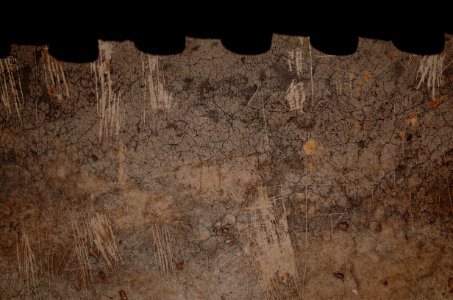 R0184855.jpg