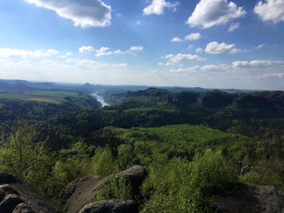 Landscape nature elbe valley